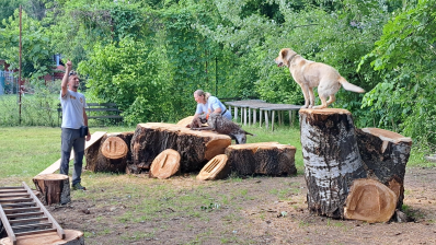 "Rigó Énekeljen!" Csapatverseny a 3. forduló után